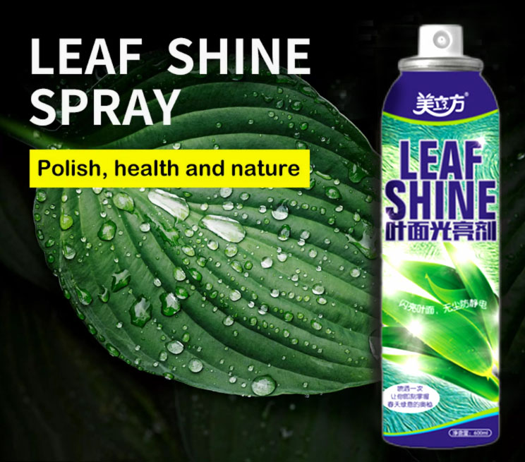 How to Make Plant Leaves Shiny and Glossy With Leaf Shine